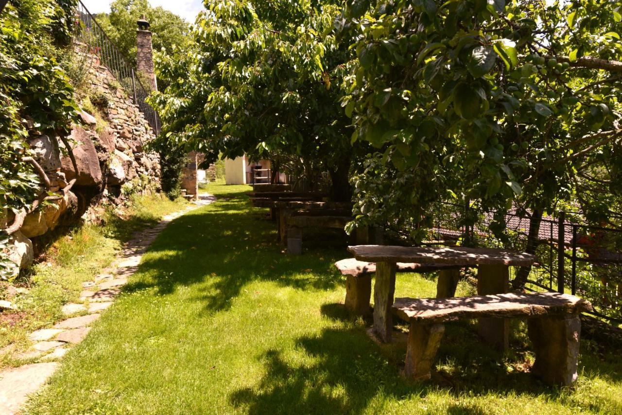 Balcon Del Pirineo Rural Ordesa Hotel Buesa Buitenkant foto