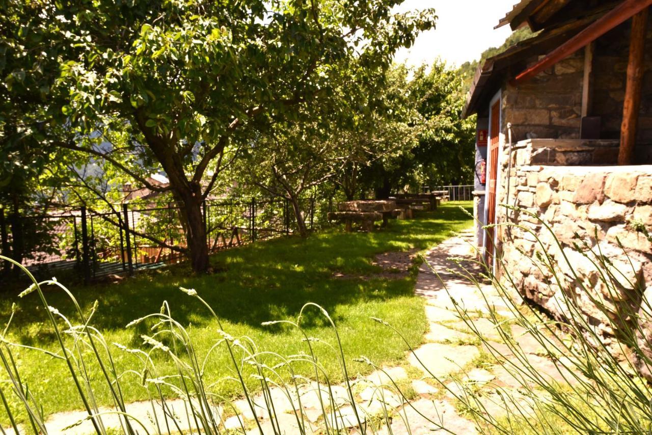 Balcon Del Pirineo Rural Ordesa Hotel Buesa Buitenkant foto